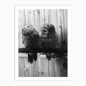 Two Owls Art Print