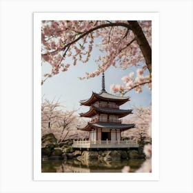 Cherry Blossoms In Japan Art Print