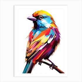 Colourful Geometric Bird Sparrow 2 Art Print