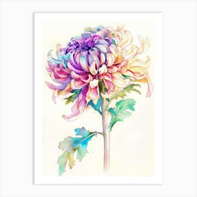 Chrysanthemum 7 Art Print