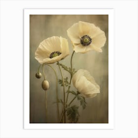 Poppies 26 Art Print