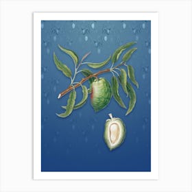 Vintage Almond Botanical on Bahama Blue Pattern n.0213 Art Print