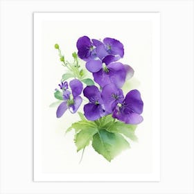 Violets Wildflower Watercolour 2 Art Print