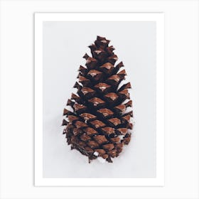 Winter Pinecone Art Print