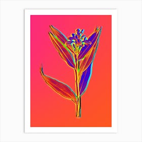 Neon Globba Erecta Botanical in Hot Pink and Electric Blue n.0392 Art Print