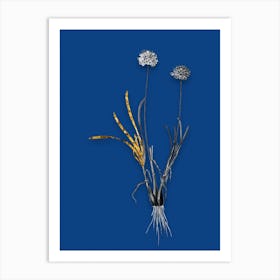 Vintage Allium Carolinianum Black and White Gold Leaf Floral Art on Midnight Blue n.1158 Art Print