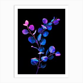 Eucalyptus 13 Art Print