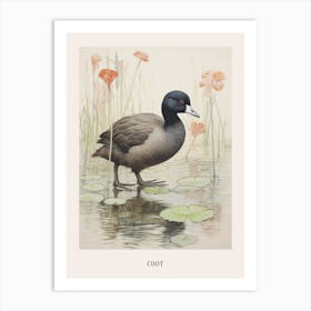 Vintage Bird Drawing Coot 1 Poster Art Print