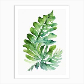 Japanese Painted Fern Watercolour Art Print