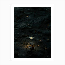 Flower In The Dark 104 Art Print