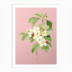 Vintage Apple Blossom Botanical on Soft Pink n.0213 Art Print