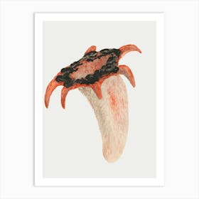 Octopus 1 Art Print