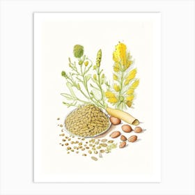 Fenugreek Seed Spices And Herbs Pencil Illustration 5 Art Print