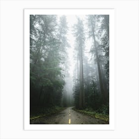 Forest Dreams- Redwood Park Road Art Print