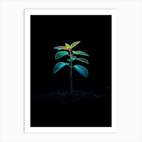 Tree In The Dark 32 Art Print