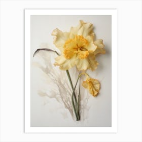 Pressed Flower Botanical Art Daffodil 2 Art Print