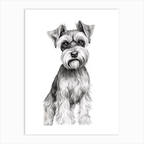 Miniature Schnauzer Dog, Line Drawing 3 Art Print