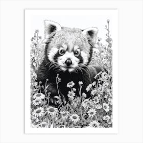 Red Panda Cub In A Field Of Flowers Ink Illustration 1 Art Print