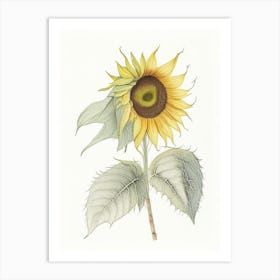 Sunflower Leaf Art Print