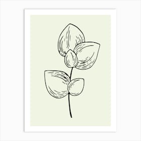 Drawing Of A Flower line art Art Print