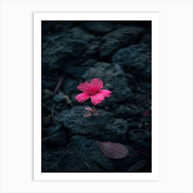 Flower In The Dark 36 Art Print