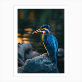 Kingfisher Art Print