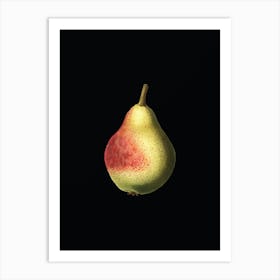 Vintage Pear Botanical Illustration on Solid Black n.0818 Art Print