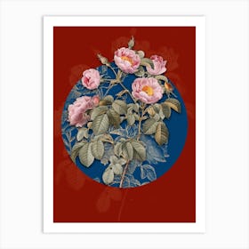 Vintage Botanical Tomentose Rose on Circle Blue on Red n.0185 Art Print