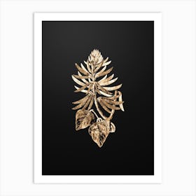 Gold Botanical Naked Flowering Erythrina on Wrought Iron Black n.2059 Art Print