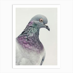 Pigeon Art Print