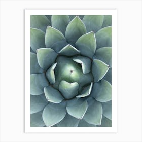 Agave Art Print