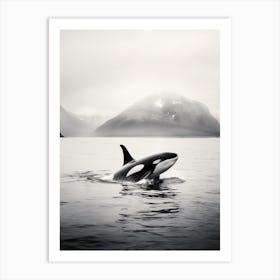Black & White Icy Mountain Photography Style Of Orca Whale 1 Art Print