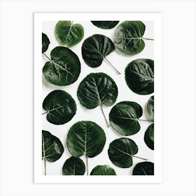 Green Leaves Art Print