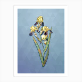 Vintage Elder Scented Iris Botanical Art on Summer Song Blue n.1017 Art Print
