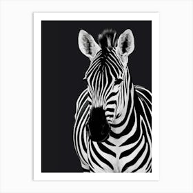 Zebra Black background Art Print