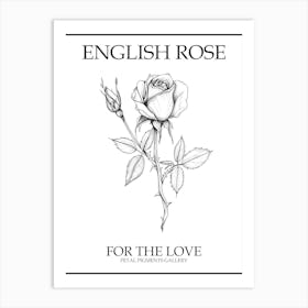 English Rose Black And White Line Drawing 24 Poster Art Print