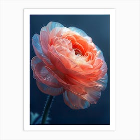 Anemone Art Print