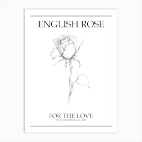 English Rose Black And White Line Drawing 35 Poster Art Print