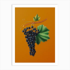 Vintage Berzemina Grape Botanical on Sunset Orange n.0574 Art Print