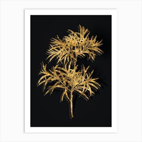 Vintage Bitter Willow Botanical in Gold on Black n.0481 Art Print