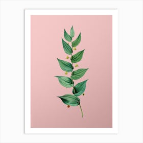 Vintage Twistedstalk Botanical on Soft Pink n.0367 Art Print