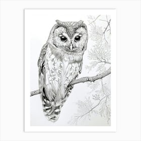 Northern Saw Whet Owl Marker Drawing 5 Art Print