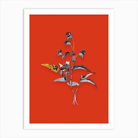 Vintage Blue Spiderwort Black and White Gold Leaf Floral Art on Tomato Red Art Print