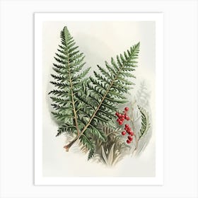 Vintage Illustration Holly Fern 3 Art Print