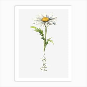 April Birth Flower Birth Month Botanical Art Print