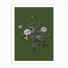 Vintage Dwarf Rosebush Black and White Gold Leaf Floral Art on Olive Green n.0731 Art Print