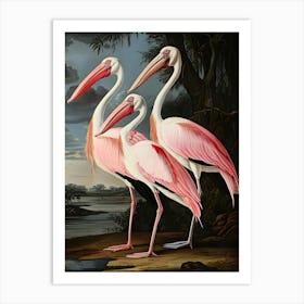 Three Pink Storks Art Print