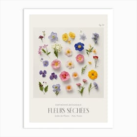 Fleurs Sechees, Dried Flowers Exhibition Poster 10 Art Print