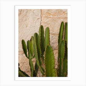 Cactus Against A Stone Wall, Summer Vibes Art Print