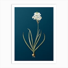 Vintage Arabian Starflower Botanical Art on Teal Blue n.0795 Art Print